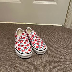 Vans parks project